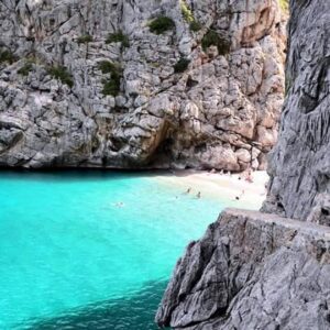 sa calobratorrent de pareis 1