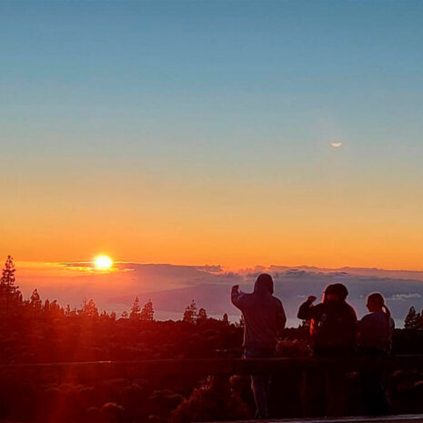 MagicTeide203 MagicTeide203