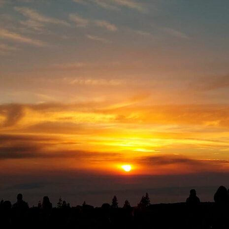 MagicTeide211 MagicTeide211