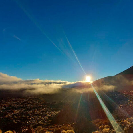 MagicTeide213 MagicTeide213