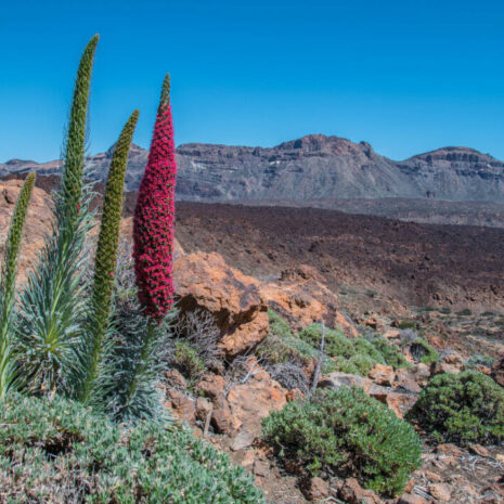 ParqueNacional003 ParqueNacional003