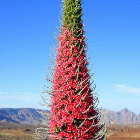 ParqueNacional010 ParqueNacional010