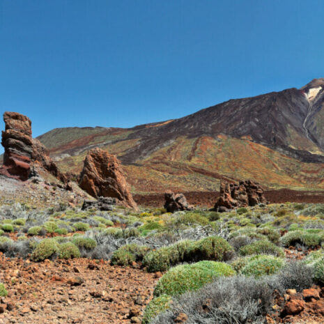 ParqueNacional022 ParqueNacional022