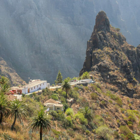 TeidaMasca001 TeidaMasca001