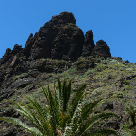 TeidaMasca002 TeidaMasca002