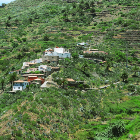 TeidaMasca004 TeidaMasca004