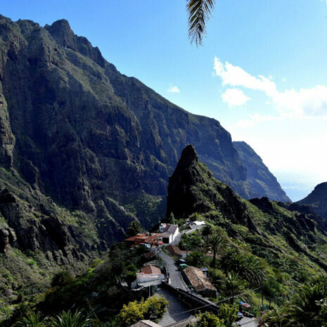 TeidaMasca006 TeidaMasca006