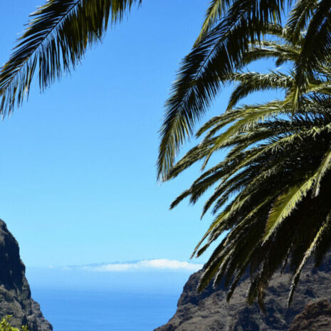 TeidaMasca007 TeidaMasca007