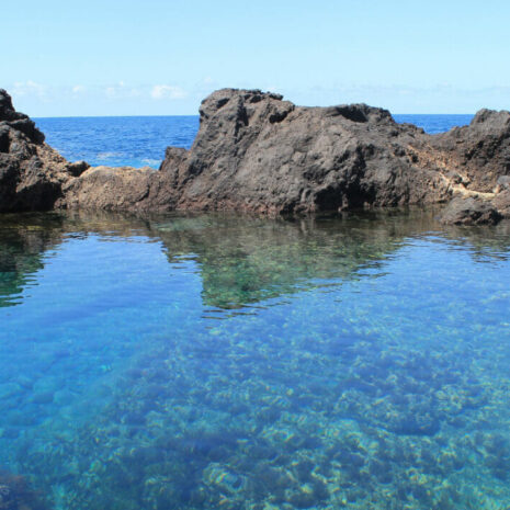 TeidaMasca008 TeidaMasca008