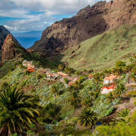 TeidaMasca025 TeidaMasca025