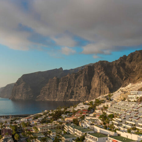 TeidaMasca033 TeidaMasca033