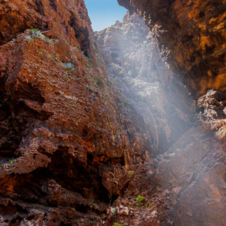 TeidaMasca036 TeidaMasca036