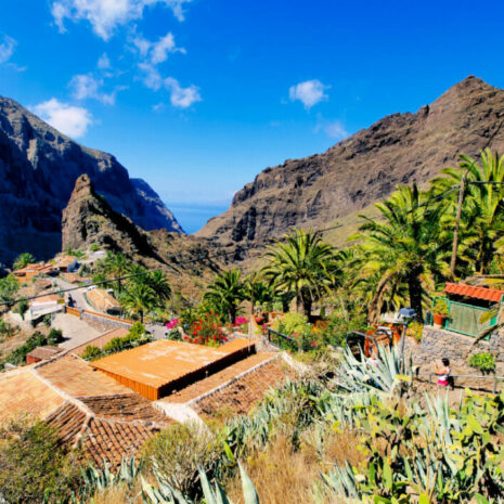 TeidaMasca037 TeidaMasca037