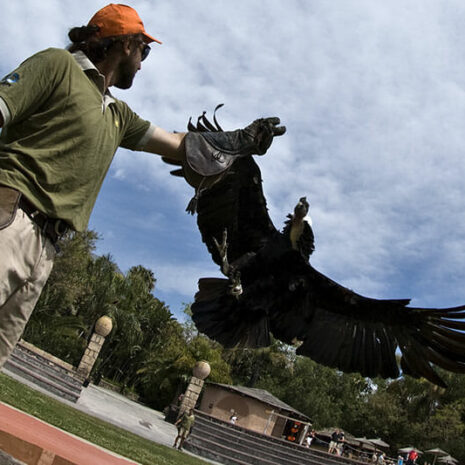 jungleaqua-10 jungleaqua-10