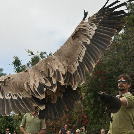 jungleaqua-13 jungleaqua-13