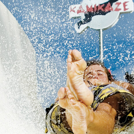 jungleaqua-2 jungleaqua-2