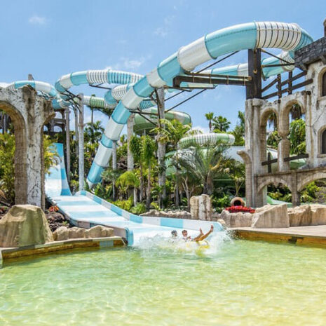 jungleaqua-6 jungleaqua-6