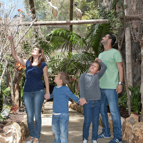 jungleaqua-9 jungleaqua-9