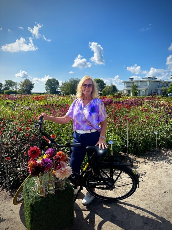 dahlia flowers bike tour