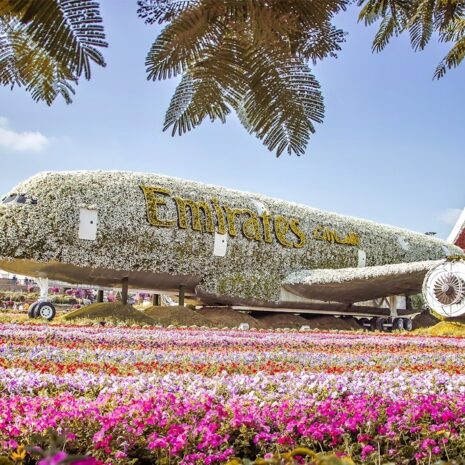 17351366248405993723392466849915 17351366248405993723392466849915