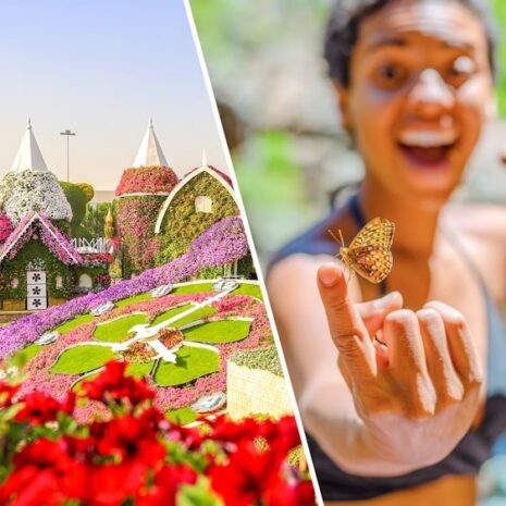 17351366922443534228118311710696 17351366922443534228118311710696