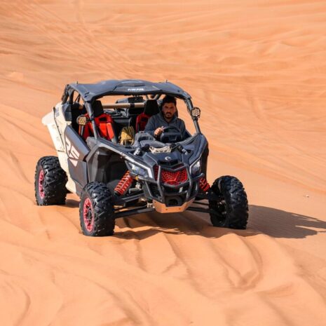 DSC02537-opt DSC02537-opt