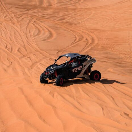 DSC02541-opt DSC02541-opt