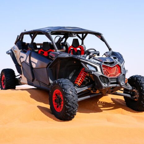 DSC02543-opt DSC02543-opt