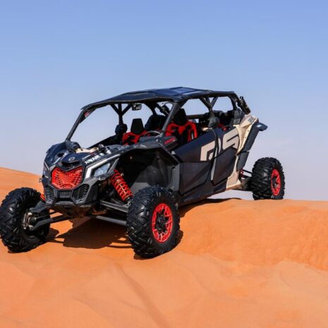 DSC02545-opt DSC02545-opt