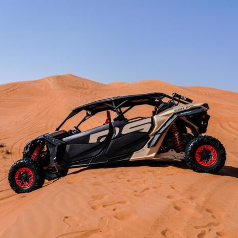 DSC02547-opt DSC02547-opt