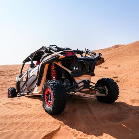 DSC02548-opt DSC02548-opt