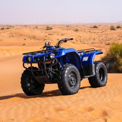 DSC02555-opt DSC02555-opt