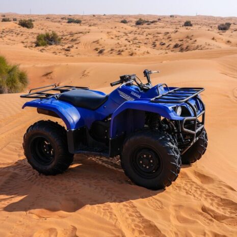 DSC02557-opt DSC02557-opt