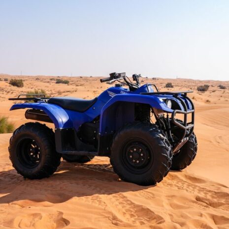 DSC02558-opt DSC02558-opt