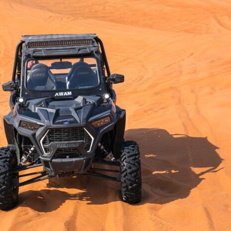 DSC02567-opt DSC02567-opt