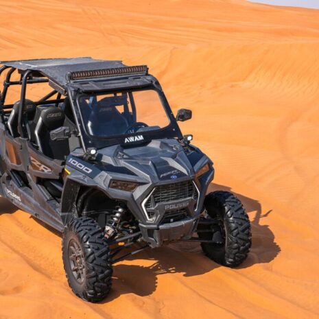 DSC02568-opt DSC02568-opt