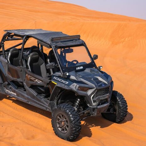 DSC02569-opt DSC02569-opt