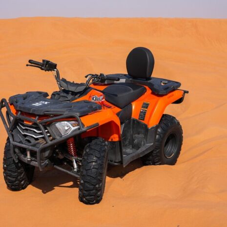 DSC02574-opt DSC02574-opt