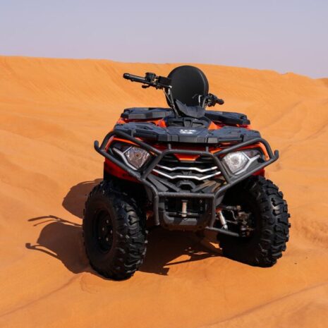 DSC02575-opt DSC02575-opt