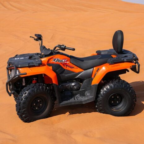 DSC02578-opt DSC02578-opt