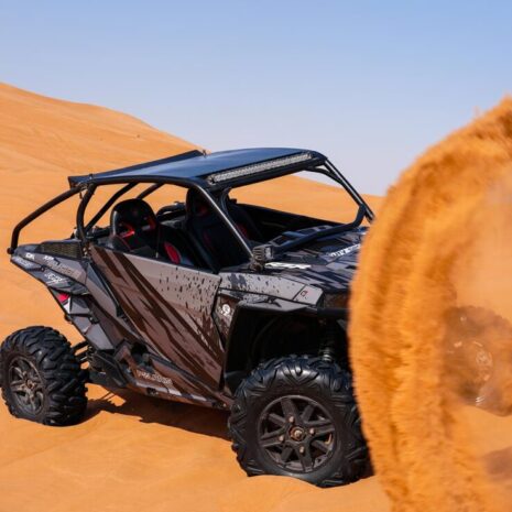 DSC02583-opt DSC02583-opt