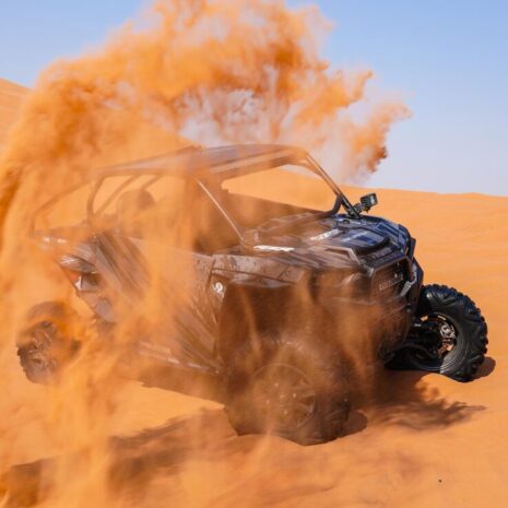 DSC02584-opt DSC02584-opt