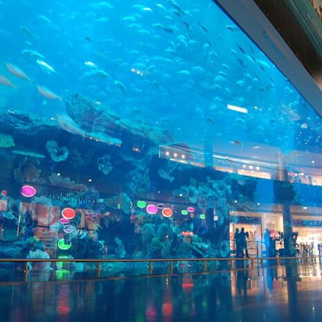 DubaiMallAquarium1 DubaiMallAquarium1