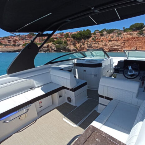 SEARAY 290 SEARAY 290