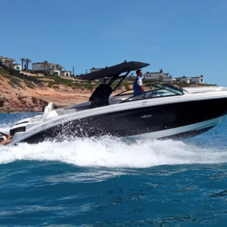 SEARAY 290 SEARAY 290